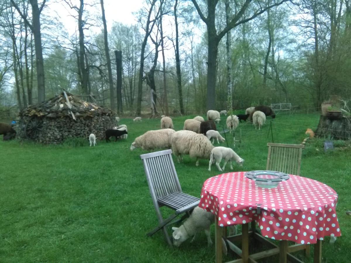 Ferienhof "Zum Spreewaeldchen" Burg  Eksteriør bilde
